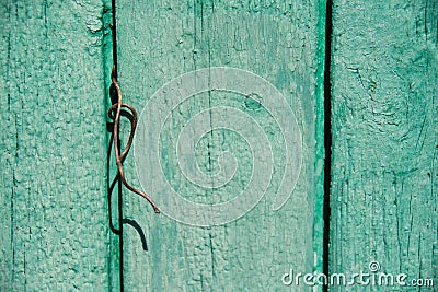 Wood texture, background with copy space. Old wooden barn green or emerald Stock Photo