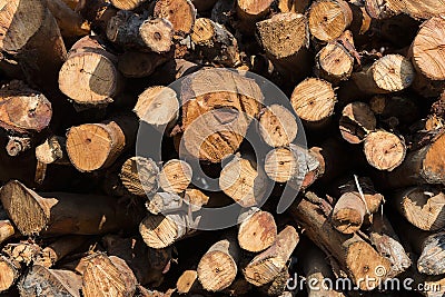 Wood texture. background old panels Stock Photo