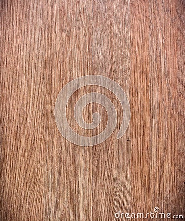 Wood texture background old panels Stock Photo