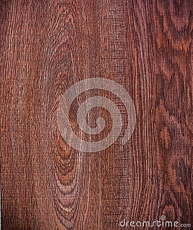 Wood texture background old panels Stock Photo