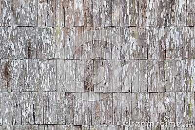 Wood texture for background Stock Photo