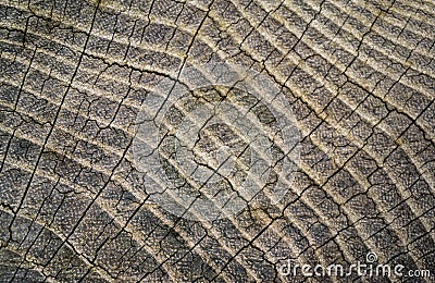 Wood texture background. Stock Photo