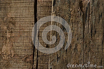 Wood texture background. Surface of old knotted wood with nature color, texture and pattern Stock Photo