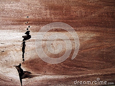 Wood texture background Stock Photo