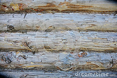 Wood Texture Background, Wooden Board Grains, Old Floor Striped Planks Stock Photo