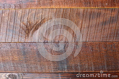 Wood texture, boards, varnished and marilka Stock Photo