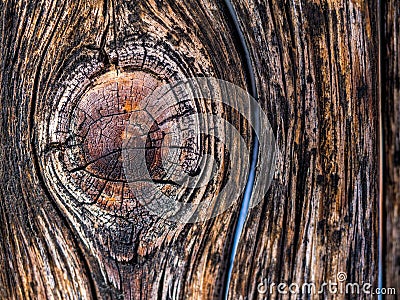 Wood texture Stock Photo