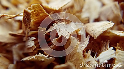 Wood texture close up of oak wood chips and sawdust Stock Photo