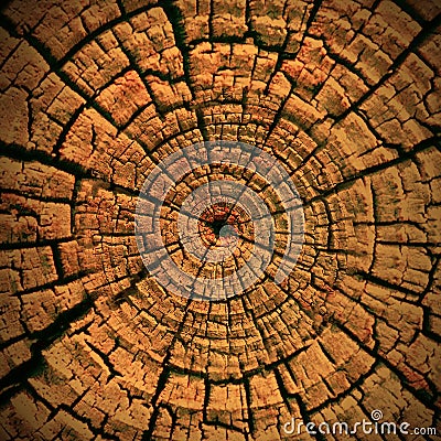 Wood texture detail background wallpaper Stock Photo