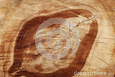 Wood texture with a large bough and pattern of wood fibers, background Stock Photo