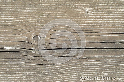 Wood texture Stock Photo