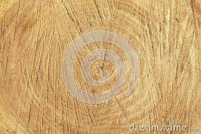 Wood texture for design and decoration Stock Photo