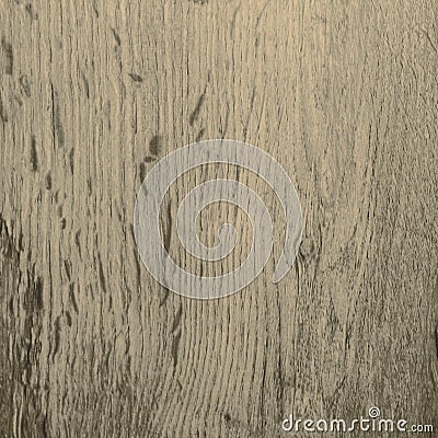 Wood texture Stock Photo