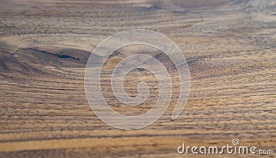Wood Texture Surface of Teak Wood Nutwood Background Stock Photo