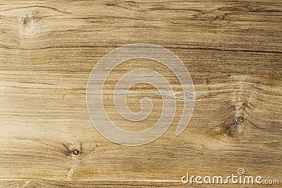 Surface of teak wood Stock Photo