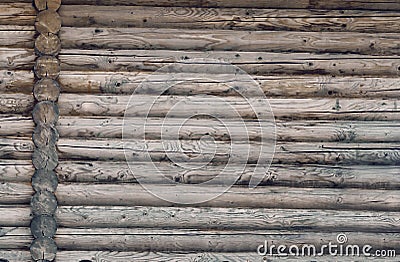 Wood texture. Stock Photo