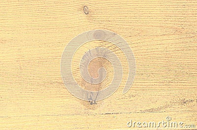 Wood texture. Stock Photo