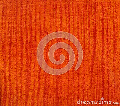 Wood Textured - Flame tiger maple wood background Stock Photo