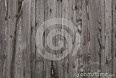 Wood textures Stock Photo