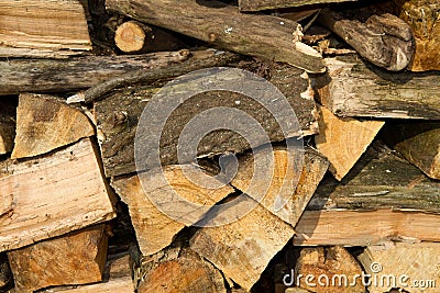 Wood trunck Stock Photo