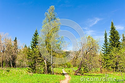 Wood walking path to the plateau Zyuratkul Stock Photo