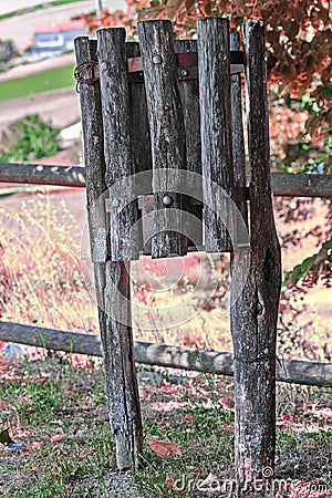 Wood waste basket Stock Photo