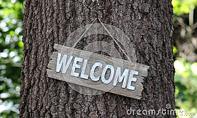 Wood welcome sign hanging on tree in forest Stock Photo