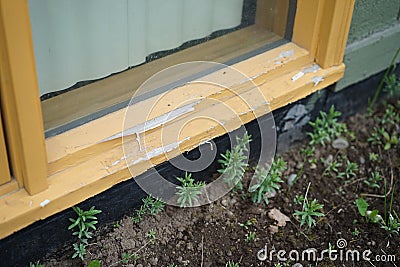 Wood window trim paint peeling Stock Photo