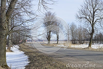 Nature wakes up Stock Photo