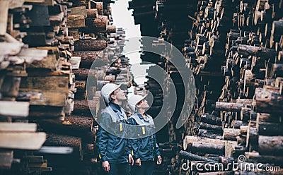 Wood worker storage Stock Photo