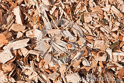 Woodchips from trees Stock Photo