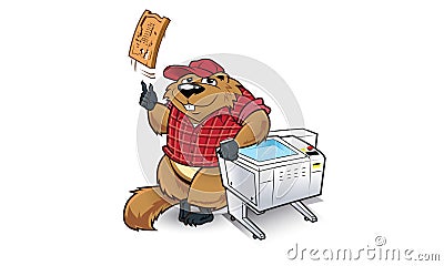 Woodchuck Stock Photo