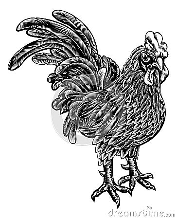 Woodcut Rooster Chicken Vector Illustration