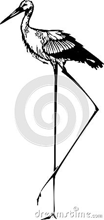 Woodcut Tall Stork Vector Illustration