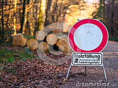 Woodcutting - Danger Ahead Stock Photo