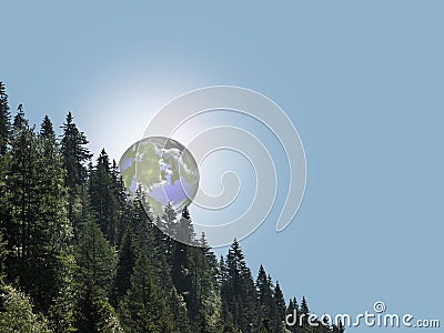 A wooded slope Stock Photo