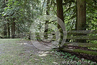 Woodeen fence Stock Photo