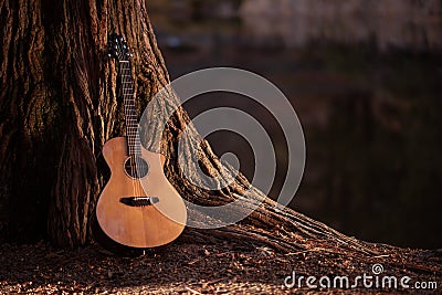 Wooden Acoustic Guitar Stock Photo