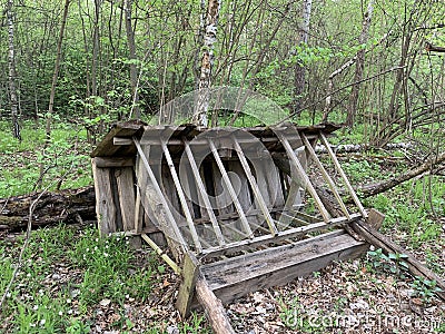 Wooden animal feeder in the forest. Canopy for feeding forest animals. Wooden structure in the park Stock Photo