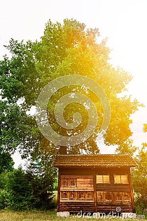 Wooden apiary with beehives Stock Photo