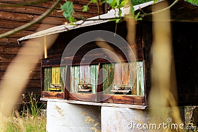 Wooden apiary with beehives Stock Photo