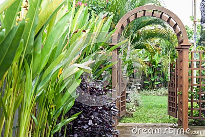 Wooden arbor with gate in garden. Wooden arched entrance to the backyard. Stock Photo