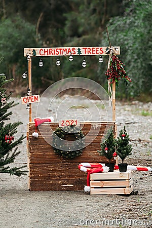 Wooden arch for photoshoot with pine. Stock Photo