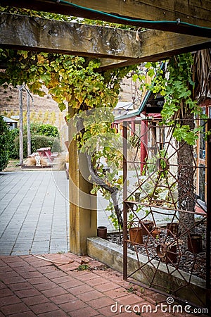 A wooden archway with paved footpath leading toto a vineyard Stock Photo