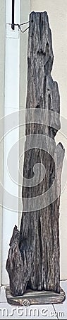 Wooden artwork from tree trunks. A work of art that is natural, unique and of high value Stock Photo