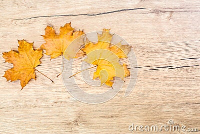 Vintage leaves on wooden table top, seasonal concept Stock Photo