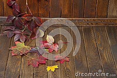 Wooden background with autumnal leaves Stock Photo