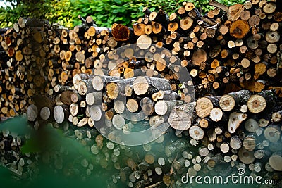 Wooden background. Firewood stack for the background. A lot of cutted logs. Stack of sawn logs. Natural wooden decor Stock Photo