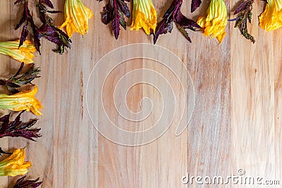 Wooden background with pumpkin flowers and purple epazote, for copy space Stock Photo