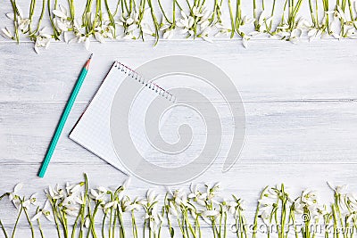 Wooden background with snowdrops frame and blank note pad Stock Photo